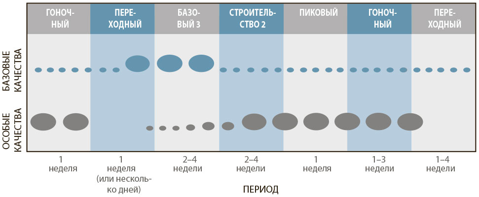 Тренировочный план триатлета