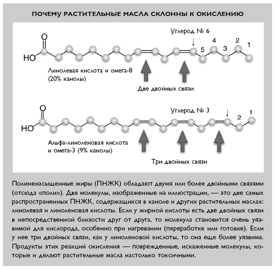 Линолевая кислота где содержится в продуктах. Линоленовая кислота содержит двойных связей. Линолевая кислота сколько двойных связей. Какая еда нужна нашей ДНК. Количество двойных связей в линолевой кислоте.