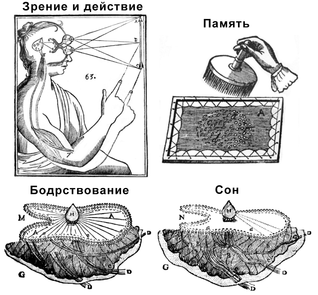 О чем задумывался Декарт . Сознание и мозг [Как мозг кодирует мысли]  [Consciousness and the Brain: Deciphering How the Brain Codes Our Thoughts]