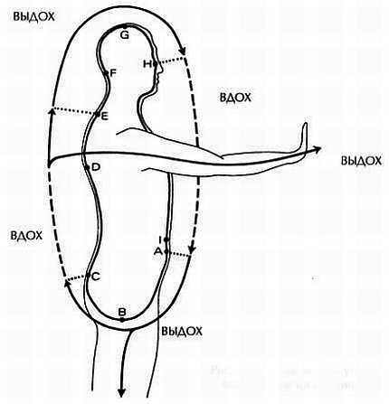Книга точки ци. Схема циркуляции энергии Ци. Энергия Ци теория. Циркуляция Ци в теле человека. Цигун энергия Ци.