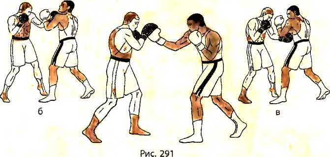 Техника бокса. Основы бокса. Бокс основы техники бокса. Эволюция техники бокса. Удар снизу вверх