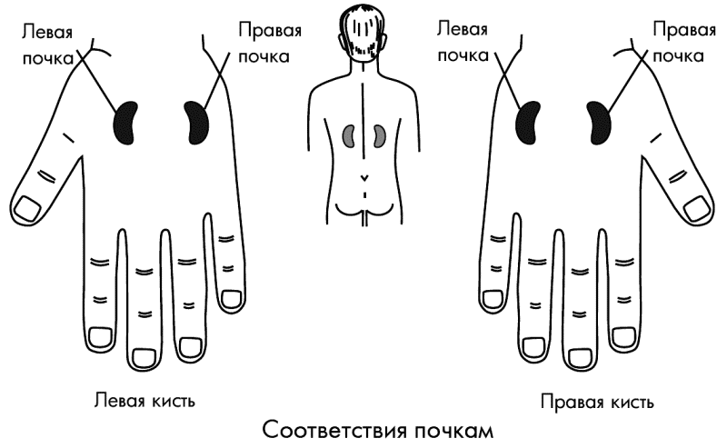 Какие симптомы могут быть при разрыве связок плечевого сустава?" - Яндекс.Кью