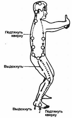 Небесный круг