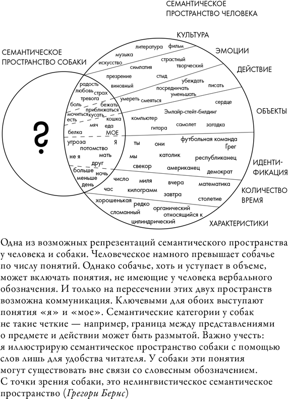 Семантическое нарушение. Семантическое пространство. семантическое пространство человека. семантическое поле примеры. семантическое поле в психологии.