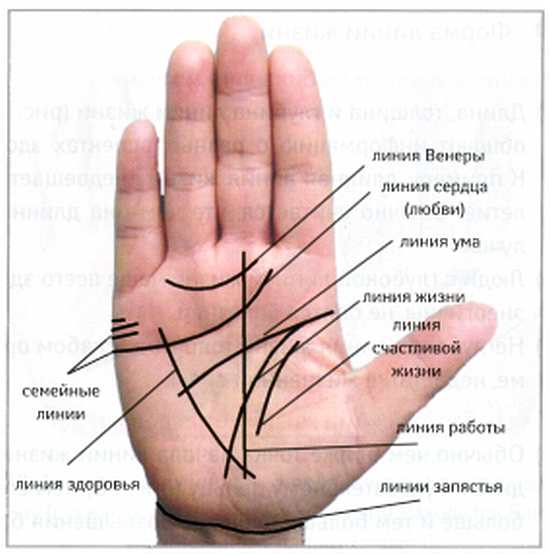 Рисунок на ладони как называется