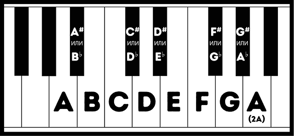 Нот 12 s. Двенадцать нот. 12 Нот. Нот 12 i. Ноте е12.