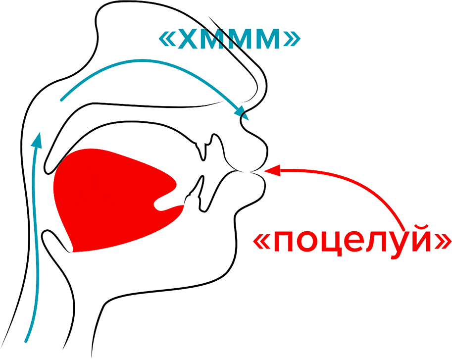 Звук поцелуя. Звуки с придыханием. Звуки поцелуев. Человек произносит звуки на вдохе.