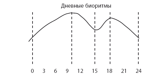 Дневные активности. График суточных биоритмов человека. Суточный цикл работоспособности человека. График работоспособности человека. Диаграмма биоритмов человека.