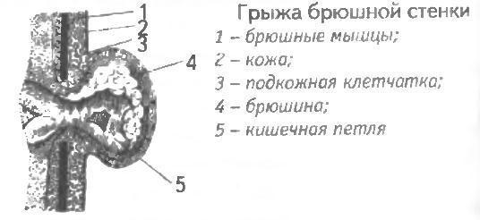 Густая сперма мужиков действует как увлажнительный крем для кожи