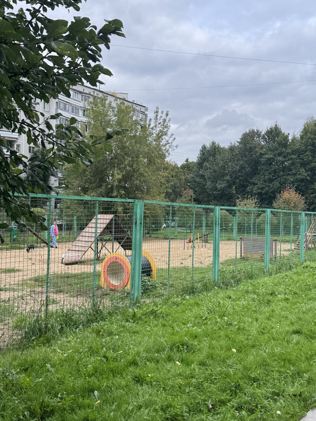 Площадка для выгула собак