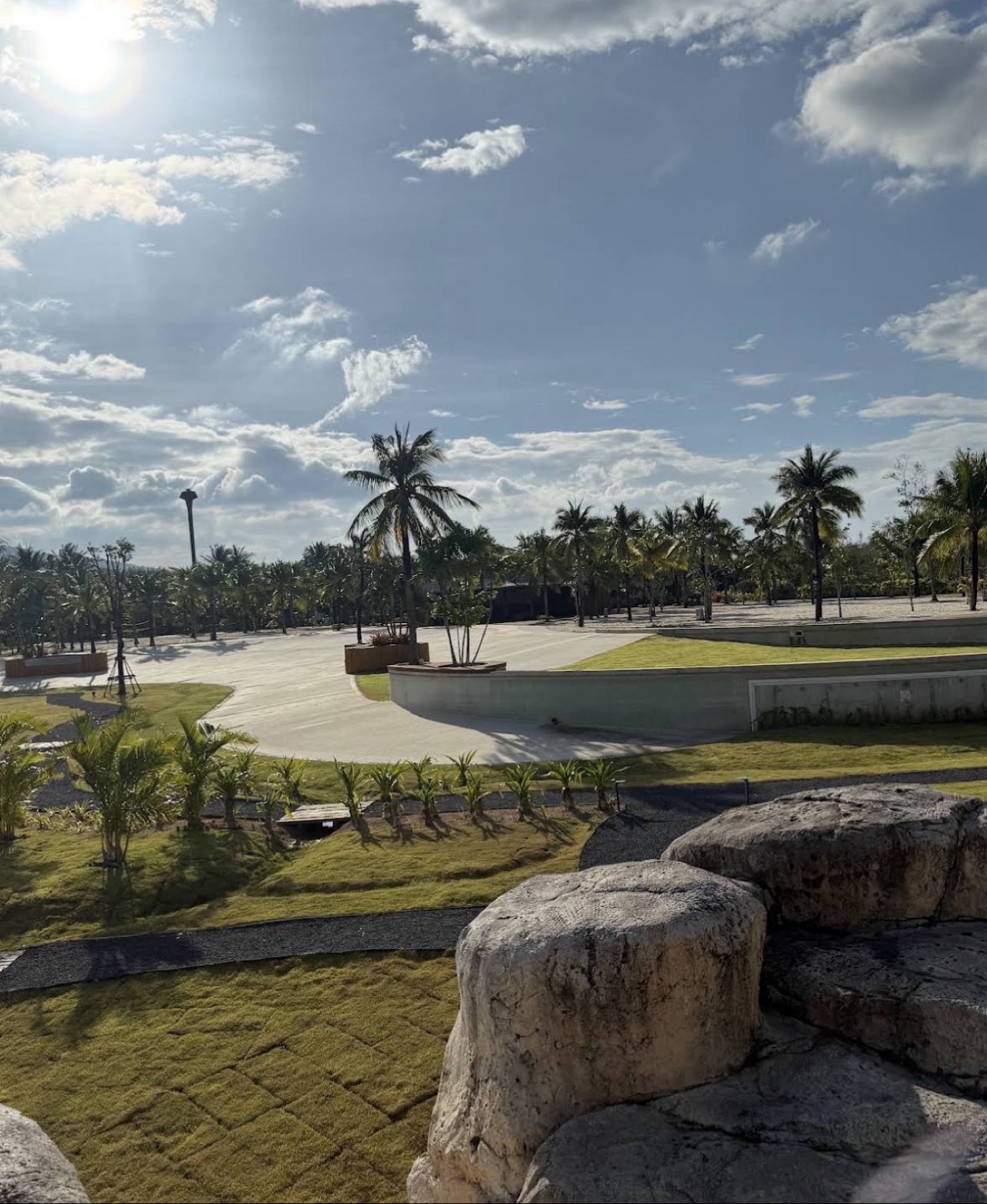 Blue tree community park