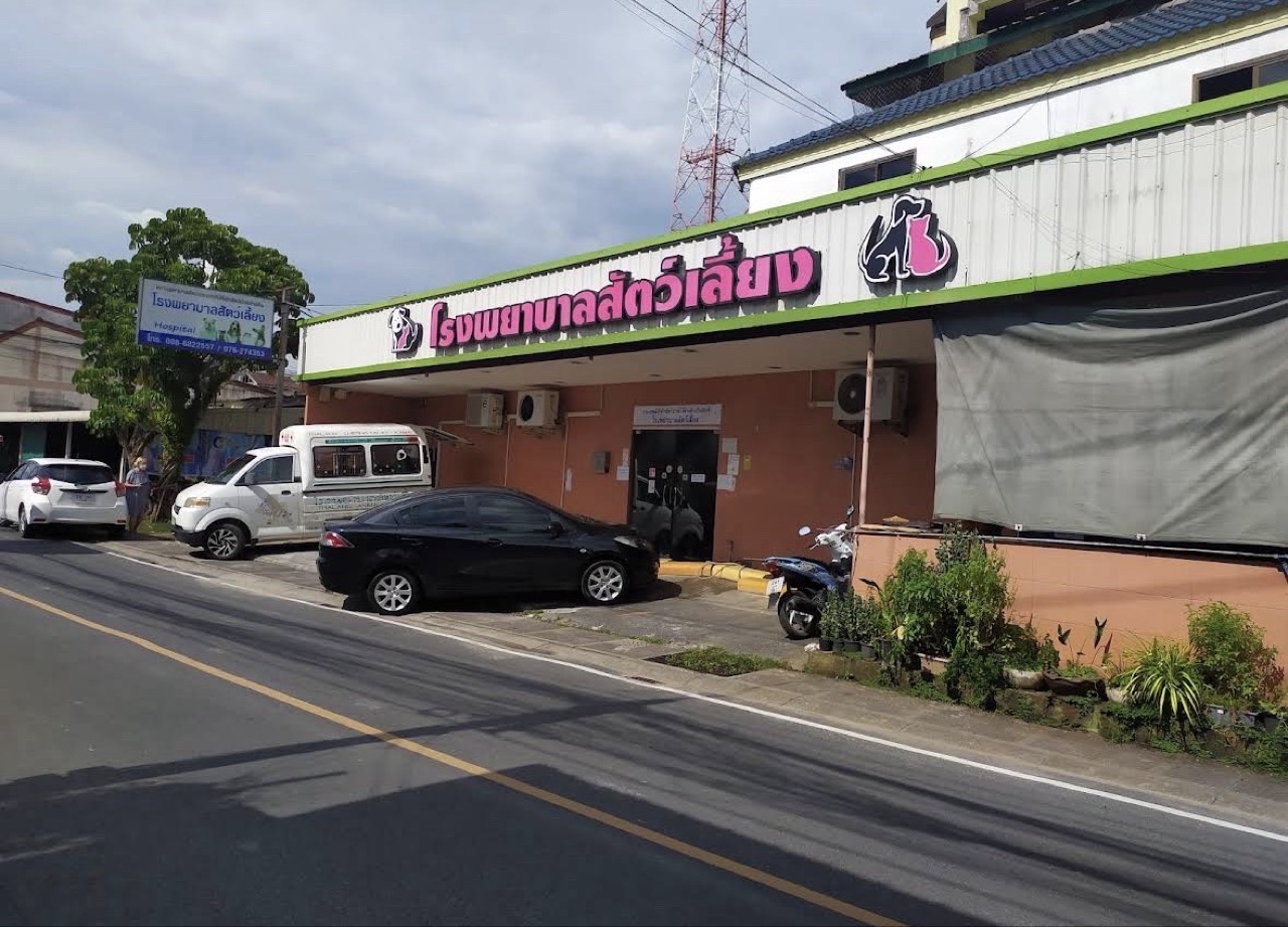 Thalang animal hospital