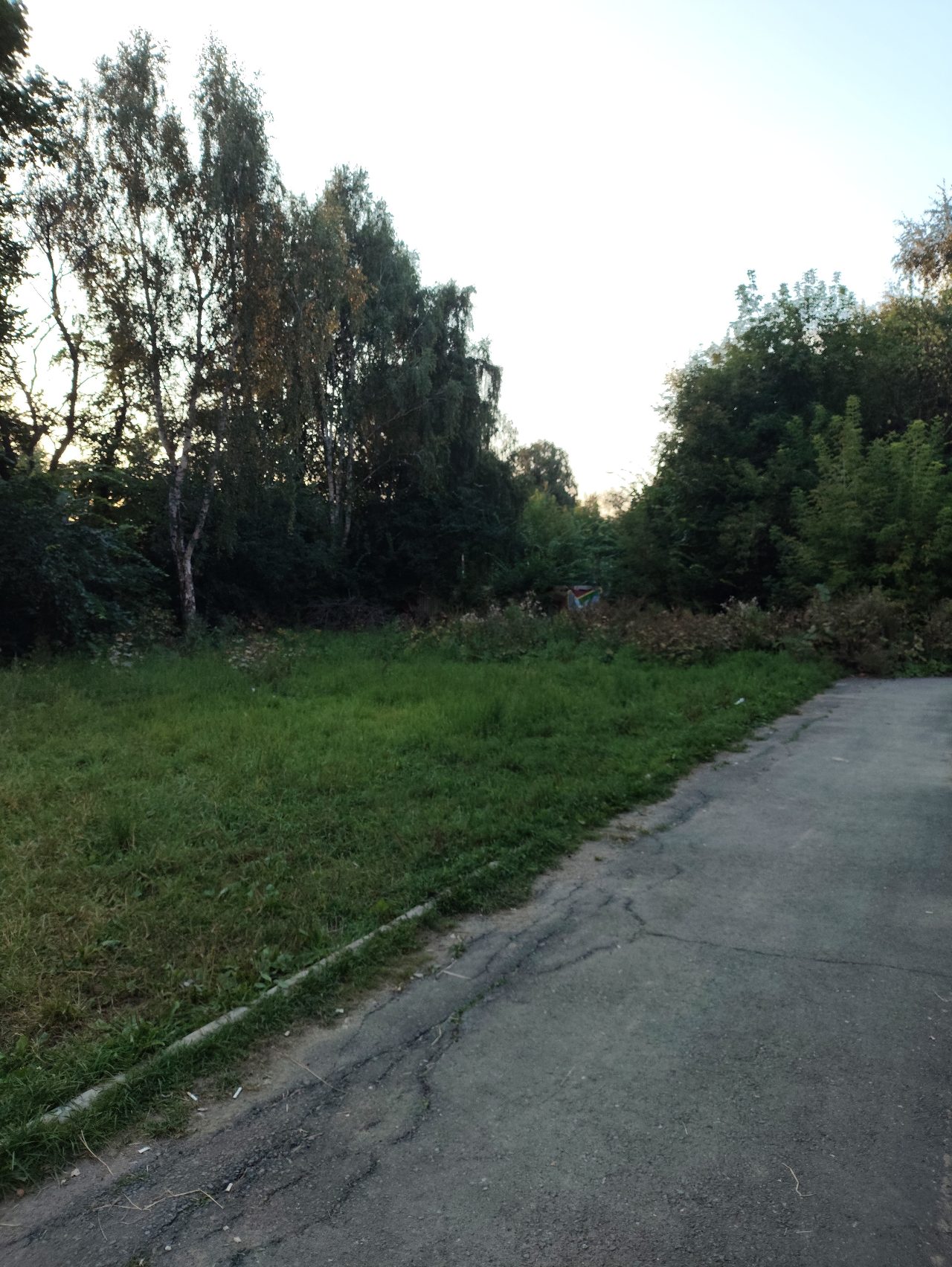 Поляна