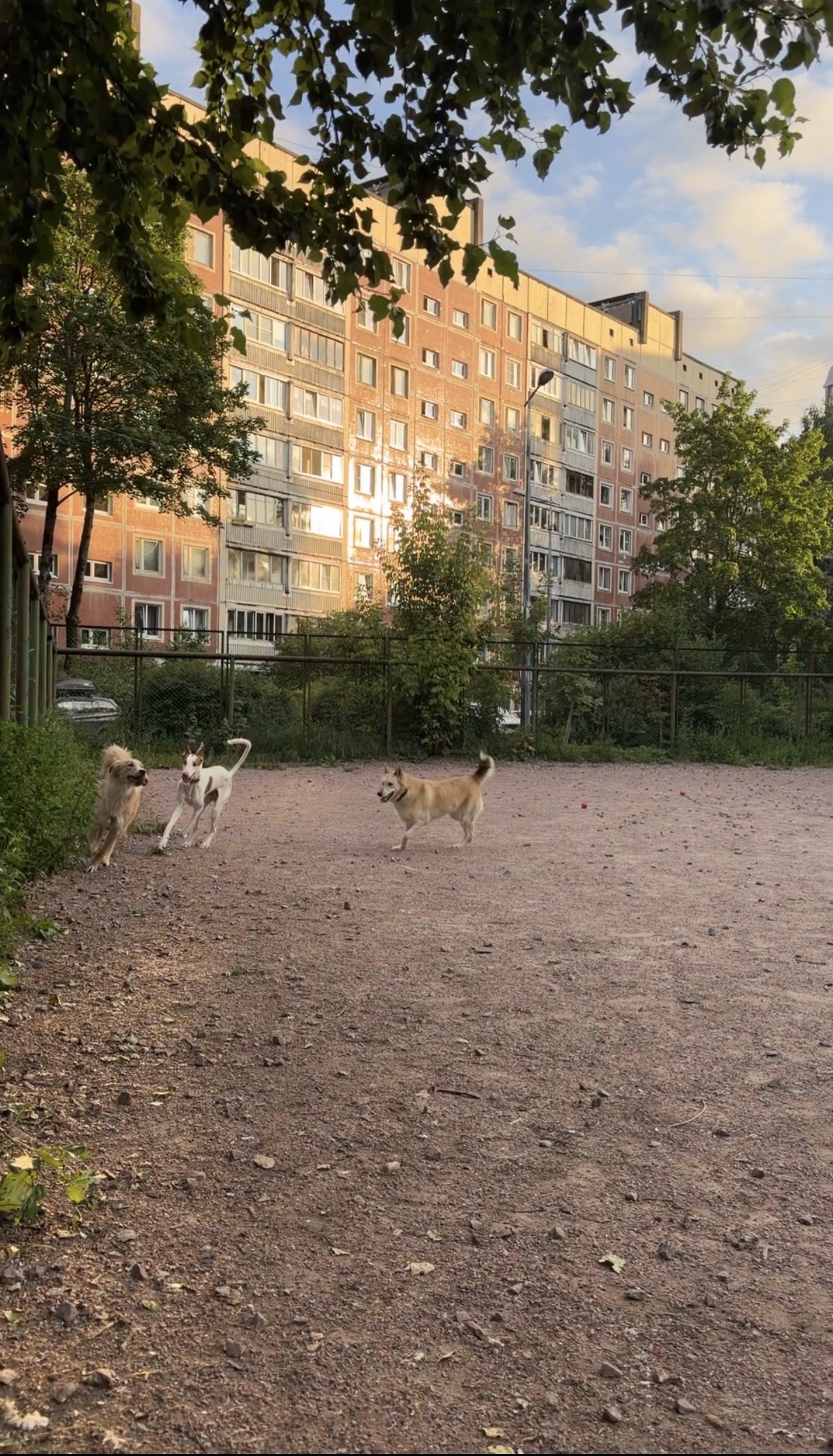 Площадка во дворе