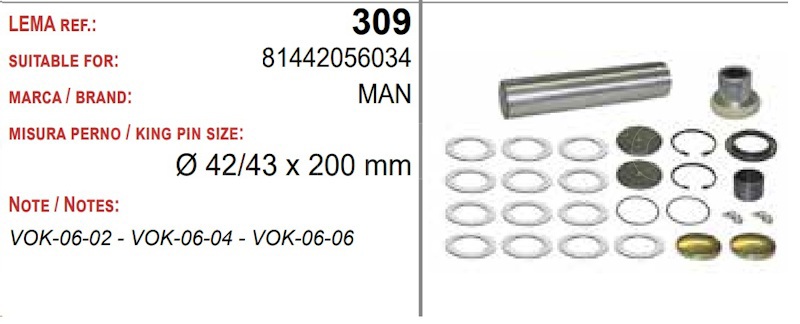 РМК шкворня KIT,W/ BEARING MAN TGM 1 PC. MAN от LEMA, артикул — 309