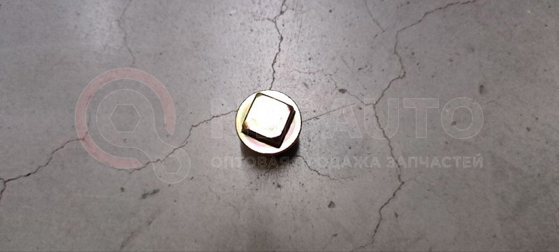 Заглушка масляная с магнитом от Shaanxi Fast Gear, артикул — .5DS50T-1701085
