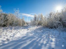 Коммерческая недвижимость, На продажу