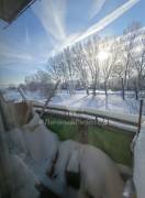 Продается 1-к квартира, 2/3 эт., ул Майорова, д. 7, Квартиры, На продажу