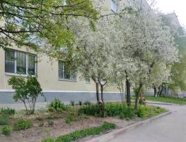 Рязань, Продается 1-к квартира, 6/9 эт., ул Интернациональная, д. 7, Квартиры, На продажу, Канищево