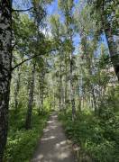 Рязань, Продается 2-к квартира, 7/9 эт., ул Березовая, д. 12, Квартиры, На продажу, Горроща
