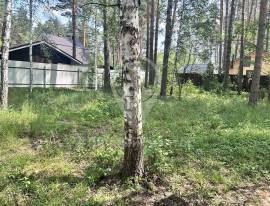 Дома, На продажу