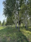 Земельные участки, На продажу