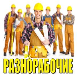 Ищем разнорабочих!