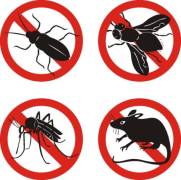 Уничтожение тараканов и других насекомых