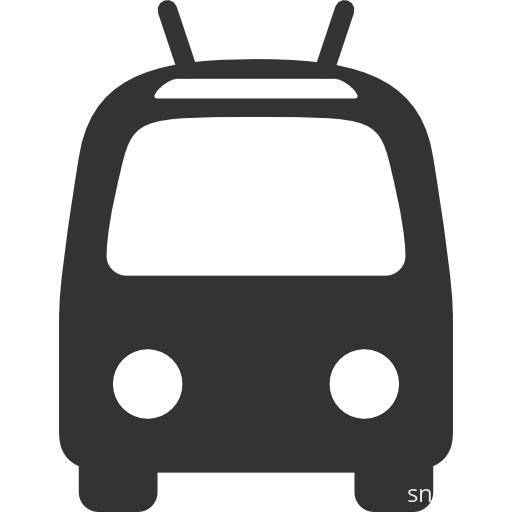 Пассажирские перевозки