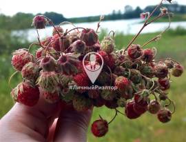 Дома, На продажу
