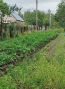 Дома, На продажу