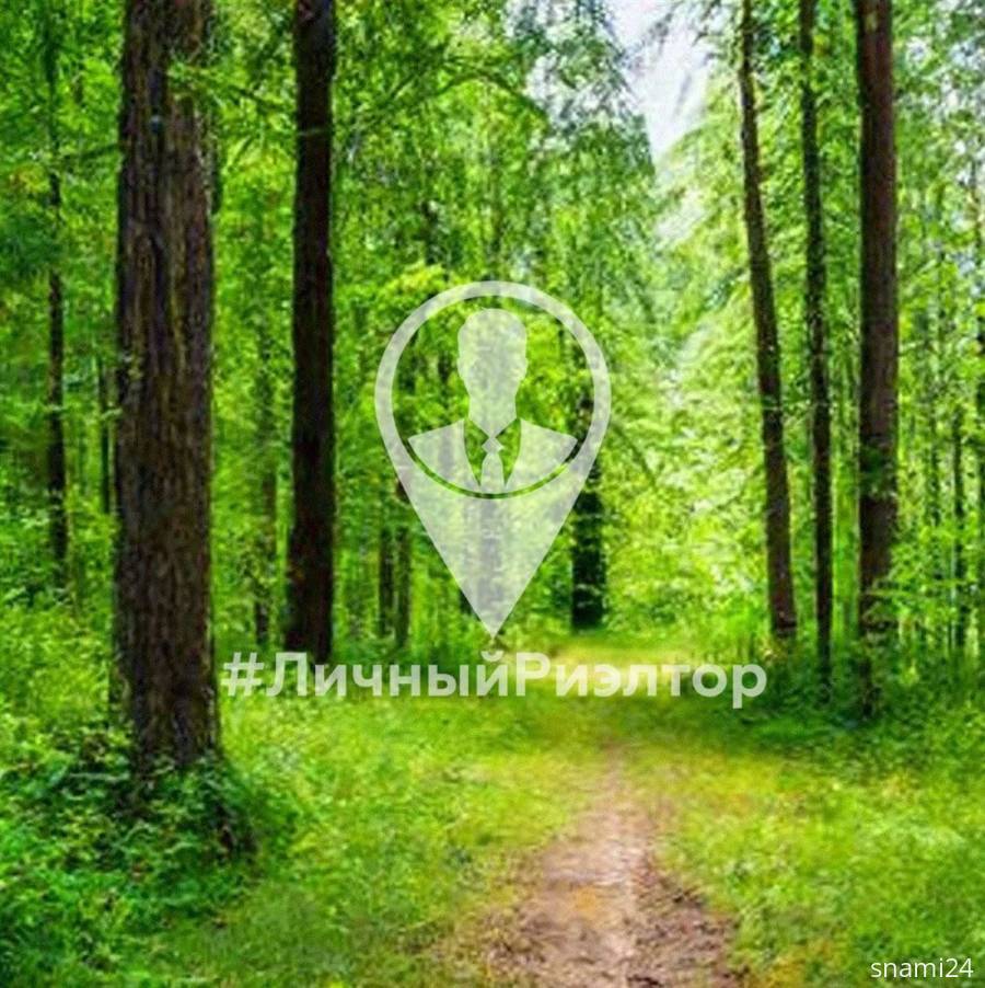 Коммерческая недвижимость, На продажу