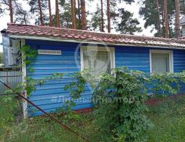 Коммерческая недвижимость, На продажу