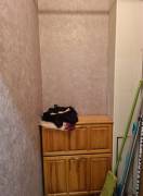 Рязань, Продается 3-к квартира, 4/9 эт., ул Бирюзова, д. 24 к 1, Квартиры, На продажу