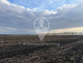 Рязань, Земельные участки, На продажу