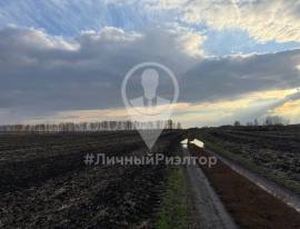 Рязань, Земельные участки, На продажу