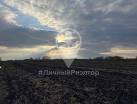 Рязань, Земельные участки, На продажу