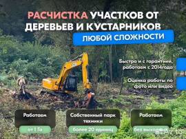 Расчистка территорий от деревьев и пней от 1 Га