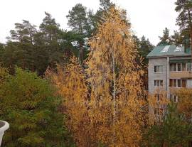 Рязань, Продается 3-к квартира, 4/4 эт., поселок Солотча, д. 8 к 38, Квартиры, На продажу, Солотча