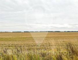 Дома, На продажу