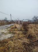 Коммерческая недвижимость, На продажу