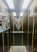 Рязань, Продается 2-к квартира, 7/9 эт., ул Березовая, д. 6, Квартиры, На продажу