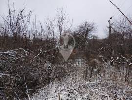 Коммерческая недвижимость, На продажу