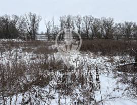 Дома, На продажу