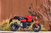 "Первые впечатления от Honda Grom 2025: тест-драйв и особенности"