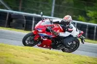 Тест-драйв Honda CBR650R E-Clutch: первый опыт с автоматическим сцеплением