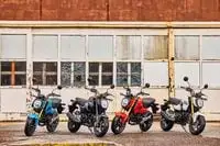 Grom lineup