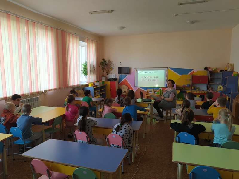 Беседа "Ядовитые растения". Старшая группа