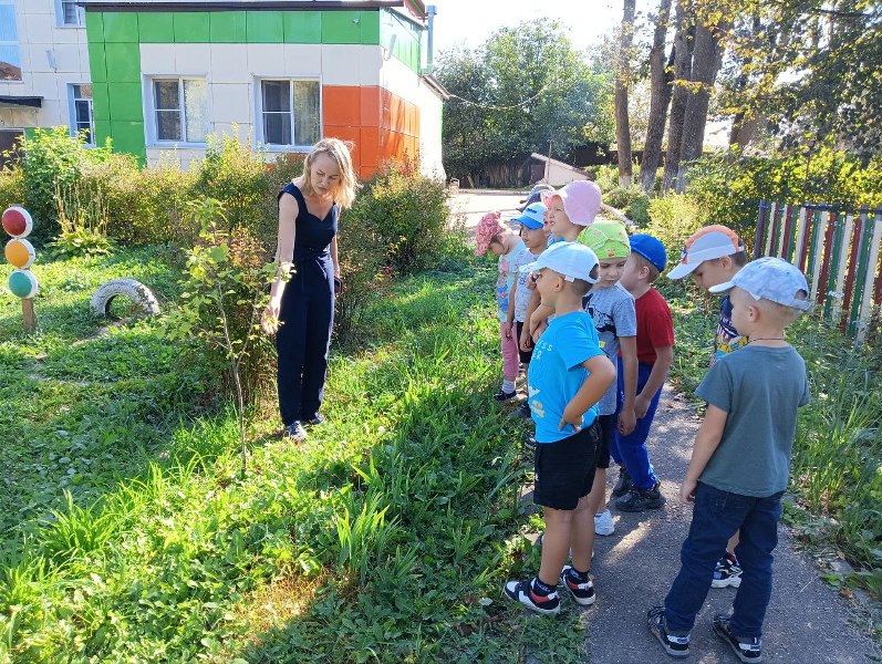 День леса