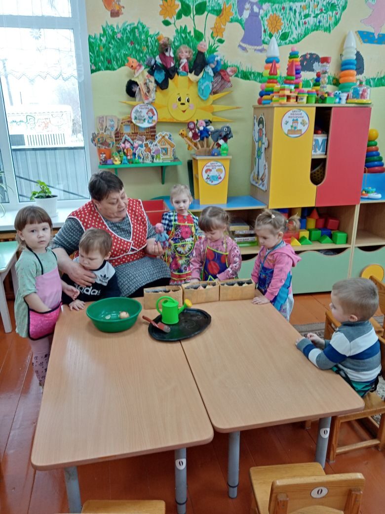 Как мы сажали лук